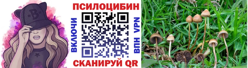 Галлюциногенные грибы MAGIC MUSHROOMS  Купить  Кологрив 